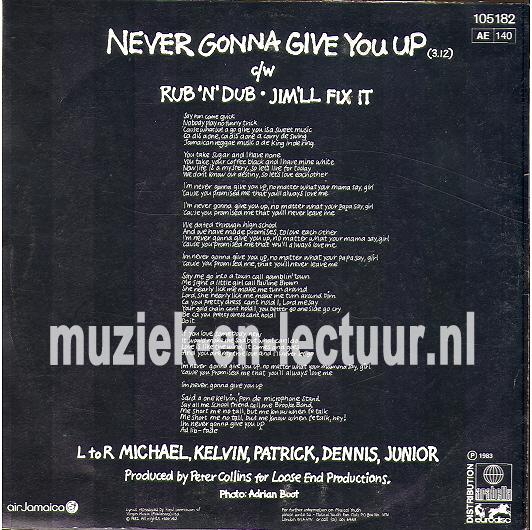 Never gonna give you up - Rub 'n' dub - Jim'll fix it